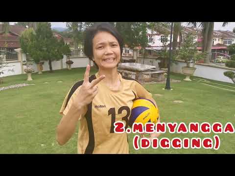 Kemahiran Asas Bola Tampar