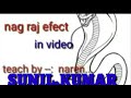 Snakes Kobra Videos