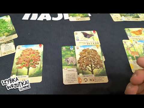 Szybka Wrzutka - Leśne Rozdanie