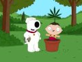 Family guy bag of weed song 