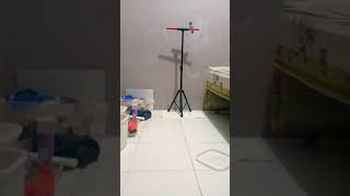 Download lagu kirik-kirik biru nan cerdas.. mp3