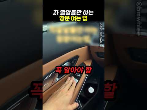 차 잘알들만 아는 창문 여는 법