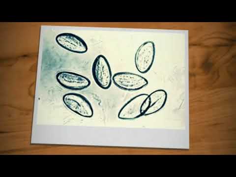 enterobiasis nombre cientifico