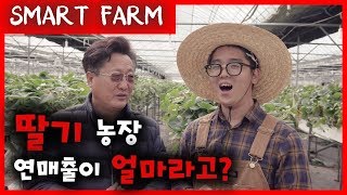 뭐? 딸기 농장 연매출이 얼마라고? [스마트팜]
