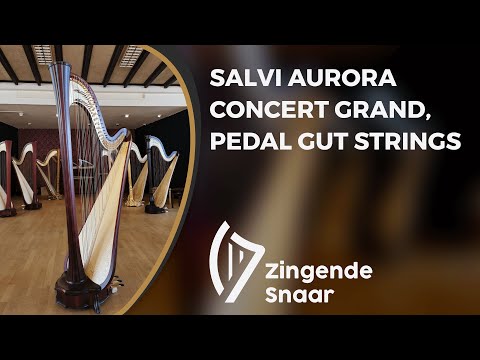 Salvi Aurora concert grand, pedal gut strings