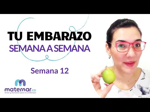 Semana 12 | Tu embarazo semana a semana | Maternar.co