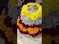 Pacchipala Vennela
