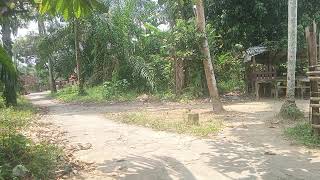 Download lagu DANGDUT KLASIK COVER REVINA ALVIRA FULL ALBUM | Payung Hitam, Bagai Ranting Yang Kering mp3