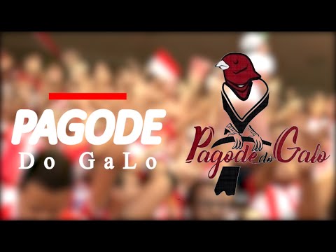 PAGODE DO GALO - LIVE 50 ANOS ESTÁDIO REI PELÉ