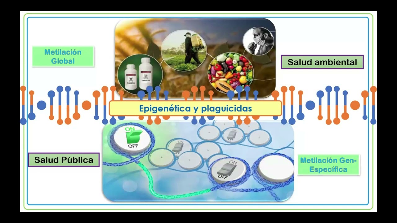 Alteraciones epigenéticas inducidas por plaguicidas implicaciones en la salud pública