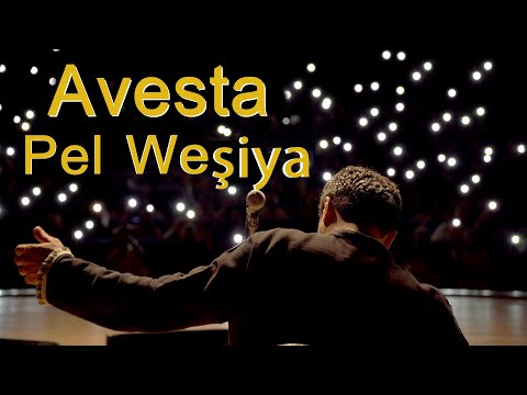 Avesta - Pel weşiya