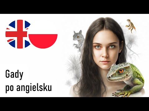 Gady po angielsku (Głos żeński, czarne tło)