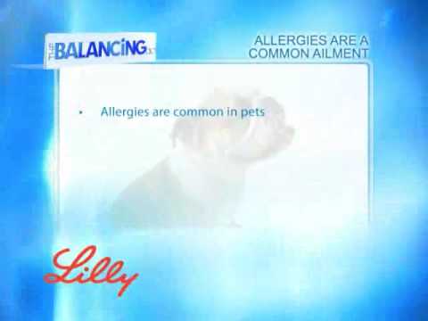 The Balancing Act Show 1162 - Lilly Companion Animal Health