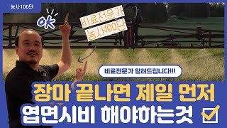 장마가 끝나면 가장 먼저 줘야 하는 양분은? | 급한 건 엽면시비로 해결 | 농사 100단