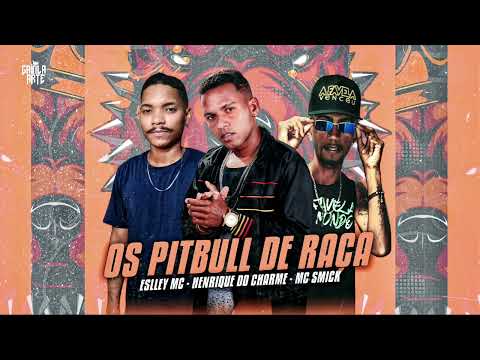 MC SMICK HENRIQUE DO CHARME ESLEY MC #ospitbullderaça