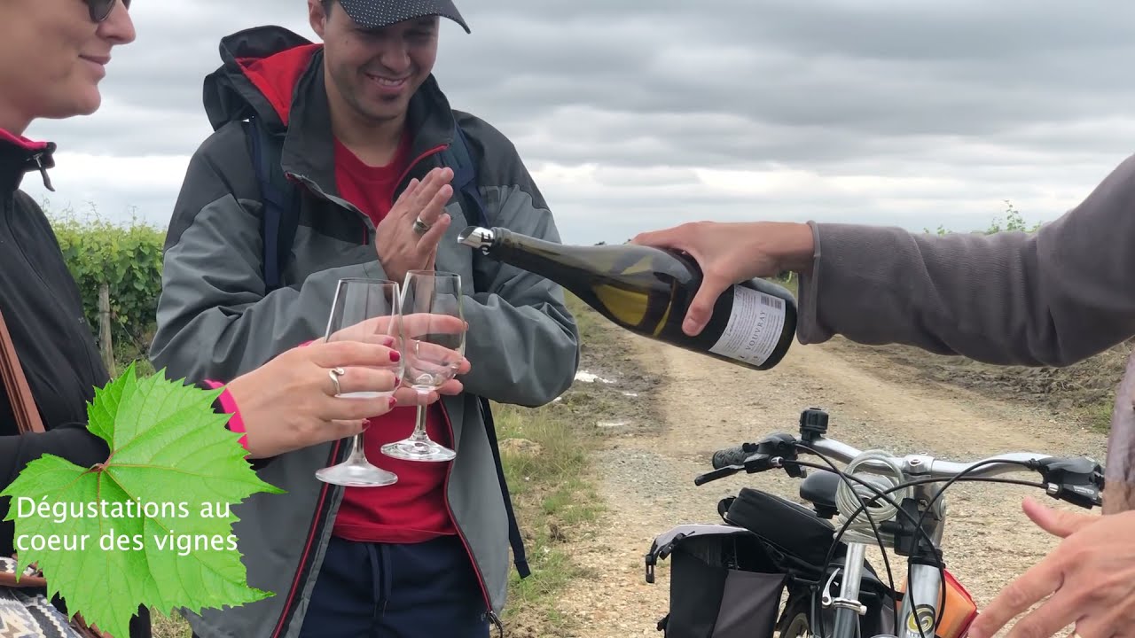 Myriam Fouasse-Robert, Loire Valley expert