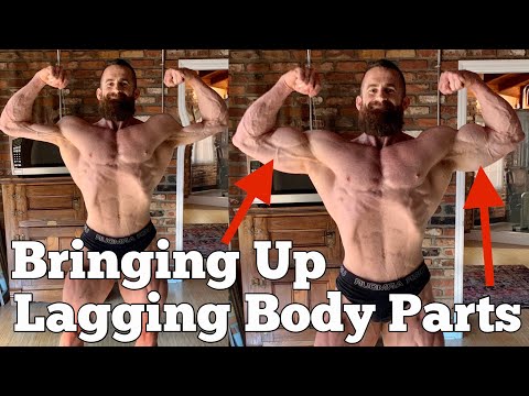 How To Bring Up Lagging Body Parts