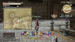 FFXIVでジンタと遊ぶ