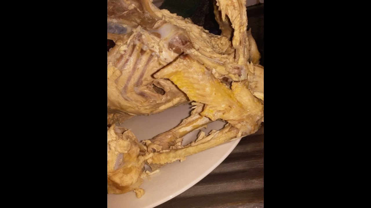 Esqueleto de pollo
