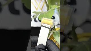 youtube Olym Pianus 34mm Nữ OP990-45DDLK-GL-T