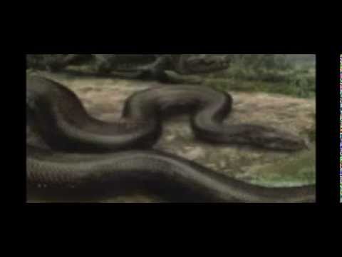 TITANOBOA MONSTER SNAKE