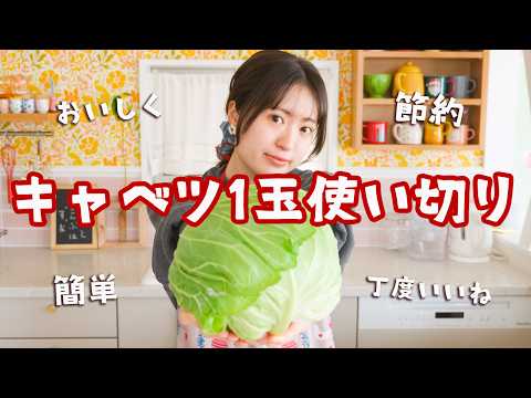 キャベツと豚挽き肉の春巻き（キャベツ1玉使い切り献立）
