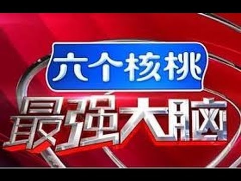 最强大脑 第三季 20160304期 中国vs德国 Game 2.1