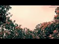 Jane Kahan Gaye Wo Din ️ WhatsApp Status Bachpan