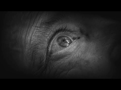 GARDEN  by Peter Schreiner - official trailer