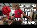 Carolina Reaper Pepper Prank - Wife Vs Husband