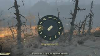 Wild Wasteland - Raiders, Raiders Never Change with Lostboy and friends