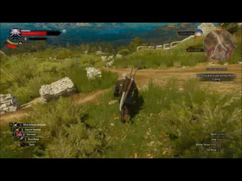 How to make lots of easy Money Witcher 3 (Blood and Wine ...