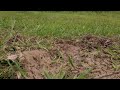Moviola • "Earthbound"