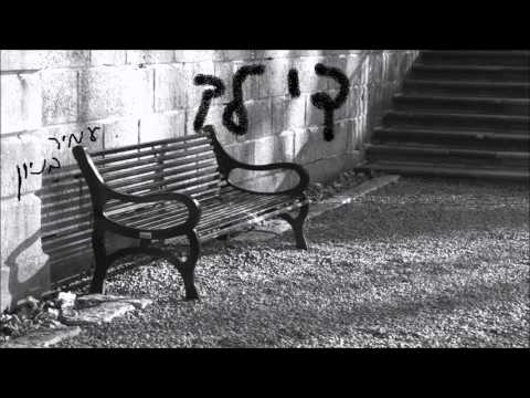 עמיר בניון