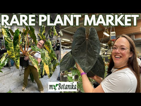 CRAZY cool plants at MyBotanika Hamm | Plant with Roos