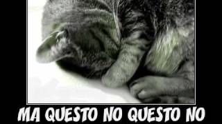 Riccardo Cocciante Amore amicizia