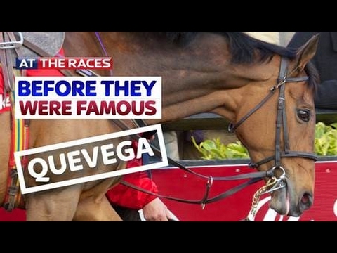 Quevega - Before They Were Famous