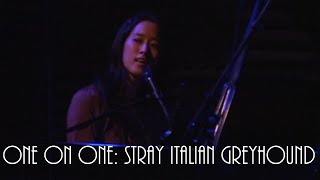 ONE ON ONE: Vienna Teng - Stray Italian Greyhound live December 3rd, 2009 Joe&#39;s Pub, NYC