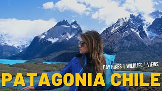Chilean Patagonia in 4 Days | Torres del Paine National Park, Chile [4K]