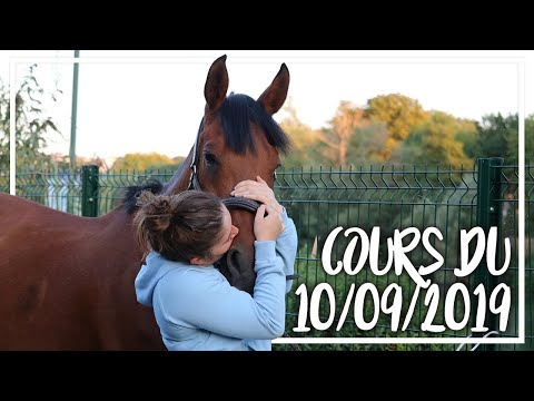 Cours du 10/09/2019 - Dressage - Urwana n'aime décidément pas Cleo's !