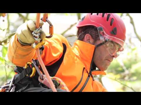 Petzl ZigZag Mechanical Prusik for Arborists & Tree Climbers