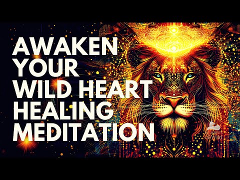 AWAKEN Your WILD HEART 💛 Healing Meditation with the Lioness in the Savannah