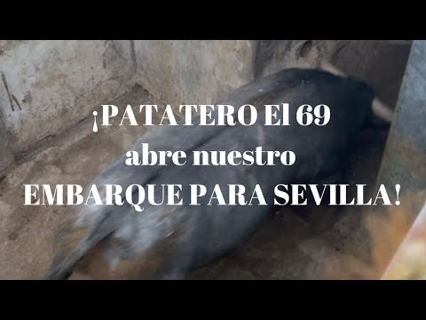 ¡PATateRO El 69 abre Nuestro EMBARQUE para SEVILLA!