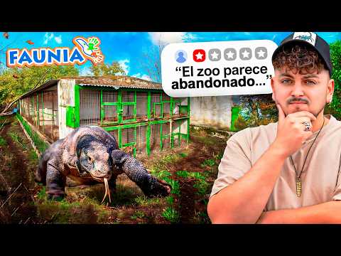 I Visited a Zoo That Looked Like a Ghost