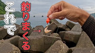 真昼間から良型カサゴが釣れるこの釣りが面白い！【カサゴを釣って食べたいがよ】