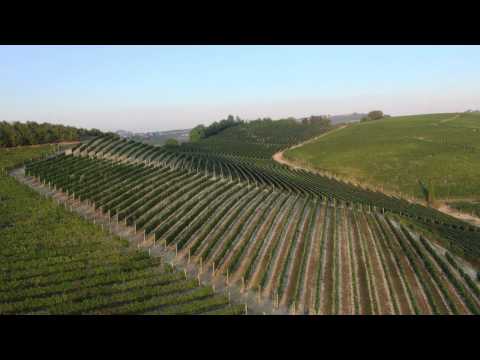 Tenuta Carretta - Fly over the vineyards