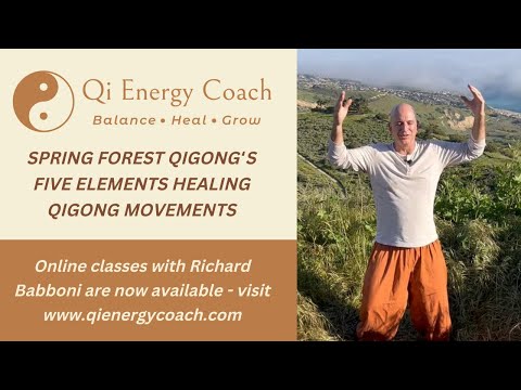 SFQ's 2023 Master of Qi - Morning Qigong Practice with Richard Babboni