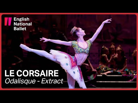 Le Corsaire: Odalisque with Alison McWhinney (extract) | English National Ballet