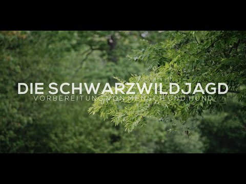 Schwarzwildjagd - Vorbereitung von Mensch und Hund - Neuzeitliche Betrachtungen zur Jagd