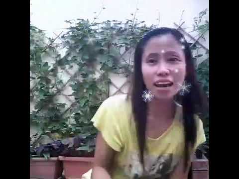 The story of GINGER (cat rescue)